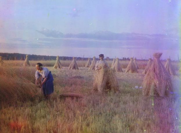 «Новгородская губерния. На жнитве». Фотохудожник: Прокудин-Горский С.М. Библиотека Конгресса США, отдел эстампов и фотографий, Общественное достояние. «Новгородская губерния. На жнитве». Фотохудожник: Прокудин-Горский С.М.