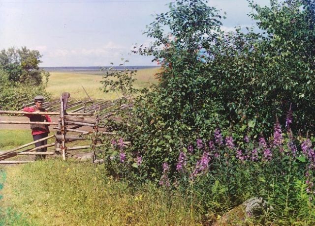 «Деревня Палтога, Вологодская область». Фотохудожник: Прокудин-Горский С.М. Библиотека Конгресса США, отдел эстампов и фотографий, Общественное достояние. «Деревня Палтога, Вологодская область». Фотохудожник: Прокудин-Горский С.М.