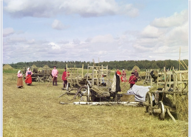 «Новгородская губерния. На сенокосе около привала». Фотохудожник: Прокудин-Горский С.М. Библиотека Конгресса США, отдел эстампов и фотографий, Общественное достояние. «Новгородская губерния. На сенокосе около привала». Фотохудожник: Прокудин-Горский С.М.